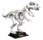 «Кости динозавра» 21320