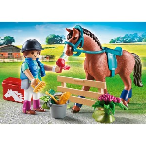 «Подарочный набор лошадиная ферма» PM70294