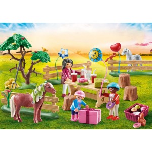 «Детский день рождения на пони-ферме» PM70997